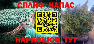 эйфоретик Бузулук