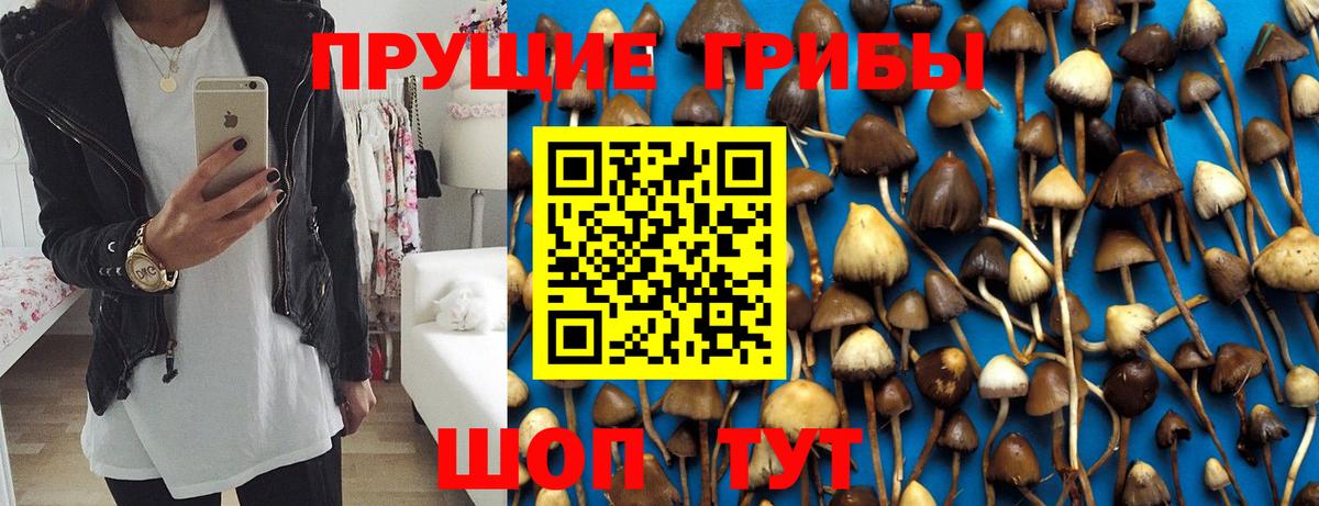 Новошахтинск  Галлюциногенные грибы прущие грибы  купить наркоту  Вход с VPN 